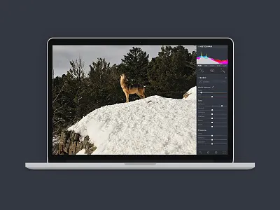 Online photo editor controls icons interface photo slider ui ux web