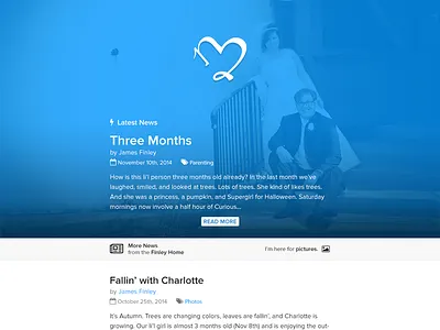 Final Polish blog font awesome homepage large photo