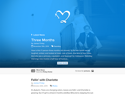 Final Polish blog font awesome homepage large photo