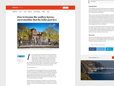 Single Article Page article bishkek clean news template