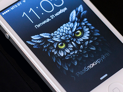owl owl