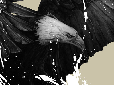 The Hunt drawing eagle fish hunt thatt