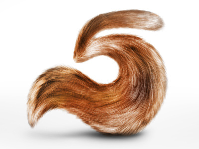 Fell Texture Type photomanipulation photoshop texture