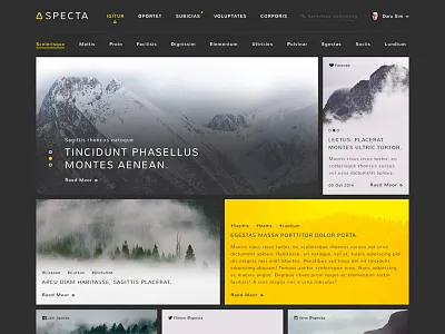 Specta - Website black dark darusim gold grid specta webdesign website yellow