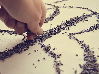 Breslo - Lavender lettering b breslo hand lettering lavender lettering type type experiment typography