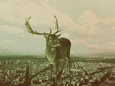 Marvin album animals cd cover gigant graphic design illustration