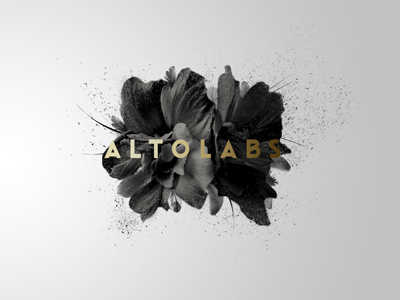 Exploring ideas for our new website black branding flower gradient logo minimal photo white