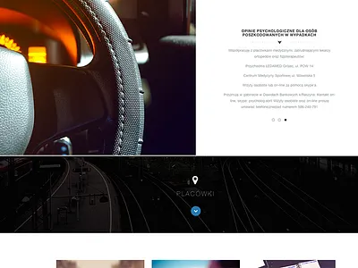 psychologist's website drivers psychology study