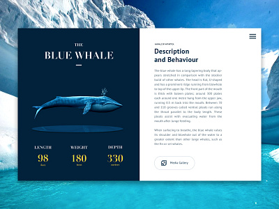 The Blue Whale blue design editorial knowledge newspaper sea ui ux web design whale