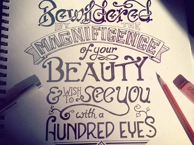 Bewildered calligraphy handwritten lettering quote rumi type typography