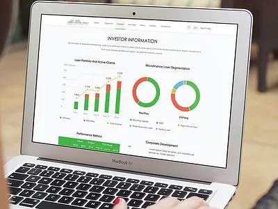 The Visual Data chart flat graph infographic investor responsive website ui web