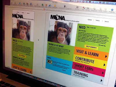 Web MONA chimps ngo web