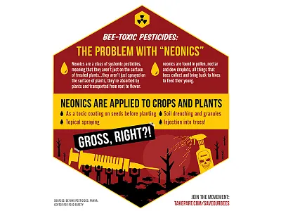 #SaveOurBees Infographic graphic illustration infographic