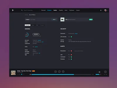 Bitzik - Dashboard bitcoin bitzik dark dashboard music player stats toggle