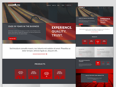 Mammoth Carbon Website 2 blue clean industrial red website