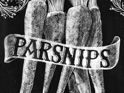 Parsnips black and white digital chalk hand lettering illustration lettering parnsips typography