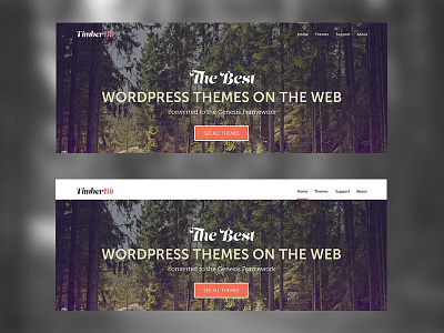 Header 1 v.s. Header 2 branding design genesis framework genesiswp layout photoshop web design wordpress