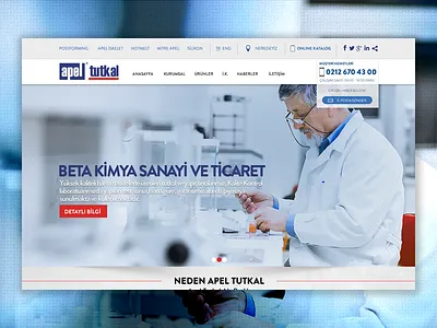 Web Design - Apel button design interface navigation site typography ui web