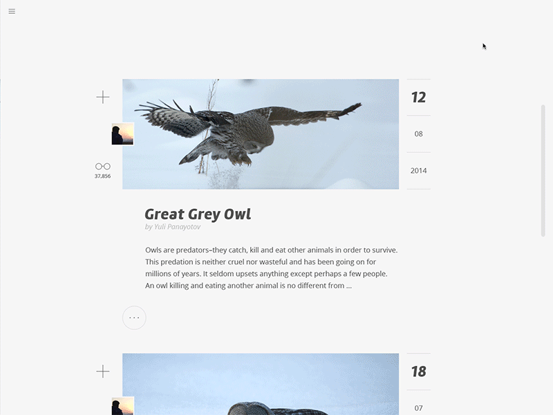 Functionality blog layout owl photo photography template web