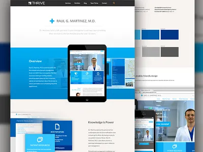 Portfolio Case Study Pages case study color palette design portfolio responsive thrive web