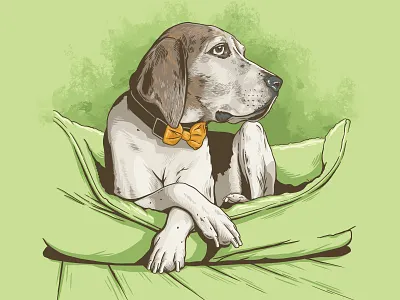 Willie columbia dog dog bed old dog sc