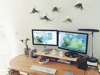 New workspace decoration air plant decoration desk france imac mac plant tillandsia wood workspace