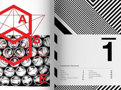 2-in-1 Annual Report 2 in 1 annual report design energetic drinks