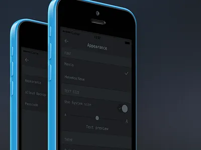 Night Notes Settings Screen app dark ios iphone minimal monotype note readability settings ui