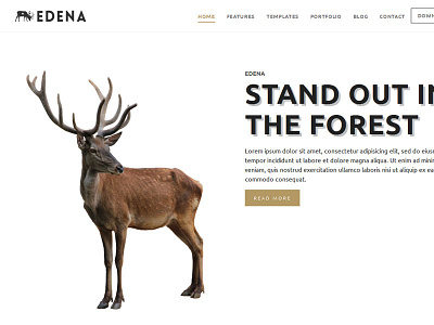 Edena - bootstrap website template little neko template web design website