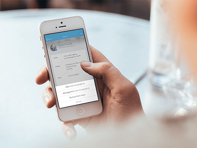 Retail Changer – WIP interface ios iphone mockup ui