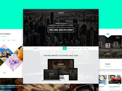 Cuvey | Multi-Purpose Parallax PSD Landing Page gallery journal landing page onepage parallax photography pricing table psd template themeforest web design wordpress
