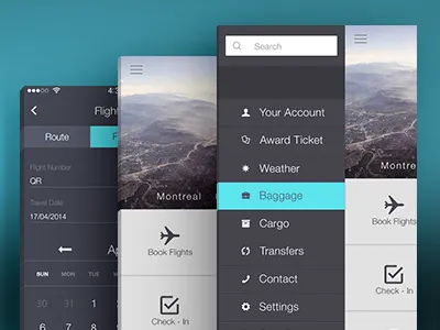 Airlines Mobile App Ui air airlines flat flat theme profile template theme ui