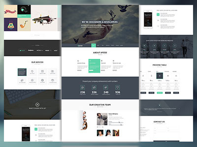 Xpose ui ux website