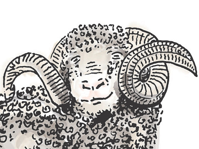Year of the Sheep illustration newyear sheep watercolor