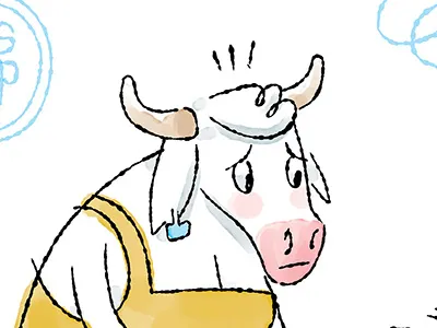 Cow's Friend Has a New Leather Belt belt cow friend leather