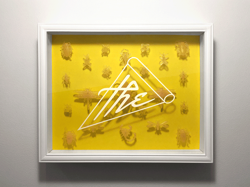 Collecting art bug bug collection cockroach collecting creepy crawlers insect lettering spider type typography