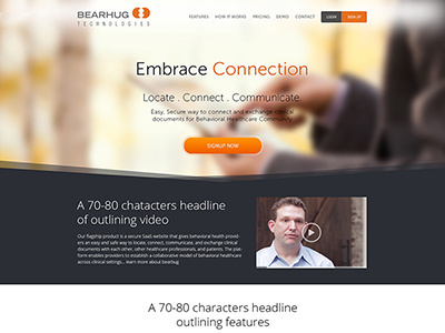 Website homepage design