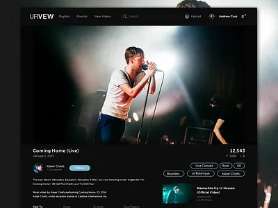Web Video Player hd icons music pause player tags ui ux video web