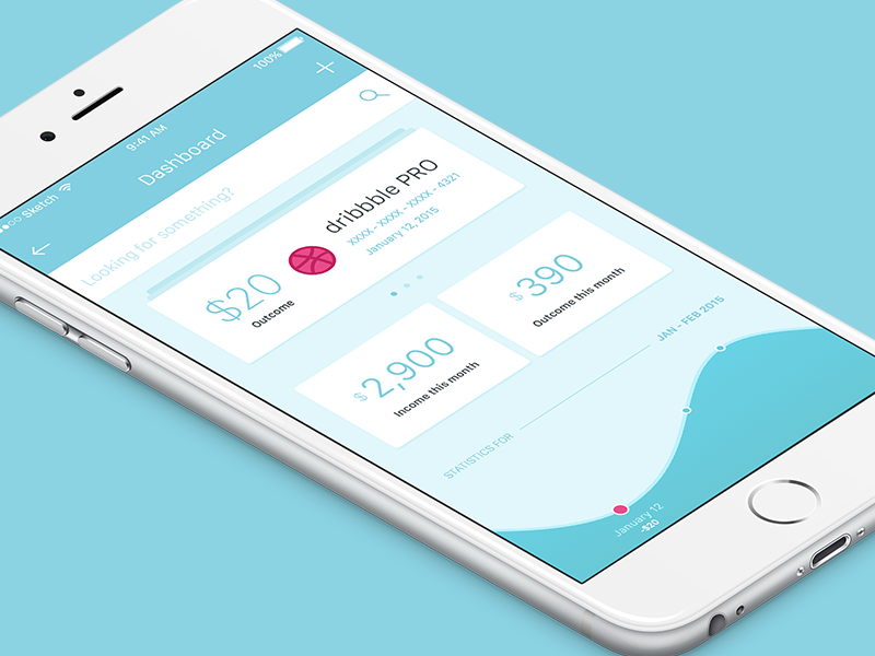 Dashboard application dashboard income ios outcome stats user interface