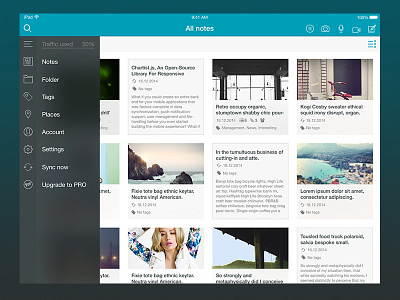 Nimbus Note iPad flat ios ipad simple ui ui design user interface