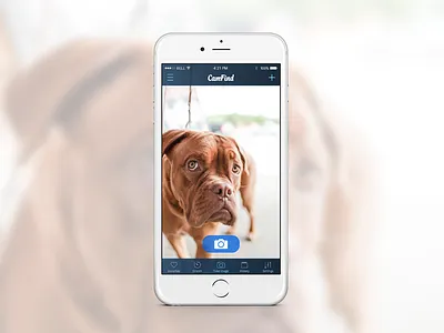 CamFind Capture Image app blue eden creative ios menu nav bar photo tab bar ui ux
