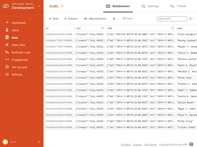 Kinvey Console Databrowser admin backend as a service console data kinvey table web app