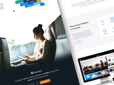 Wizdom Landingpage landingpage onepage webdesign wizdom