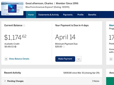American Express Account Summary american express credit financial graphing