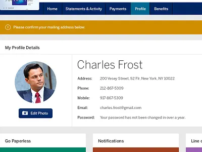 American Express Profile american express credit financial profile