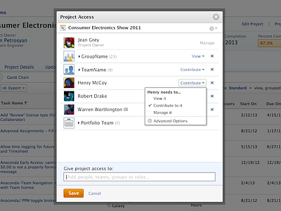 Who has access access enterprise project management security