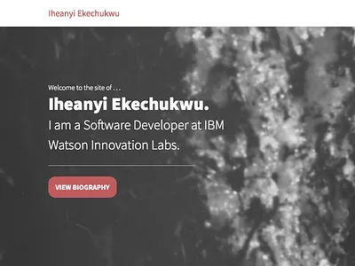 Shot #1906590 css html ui web website