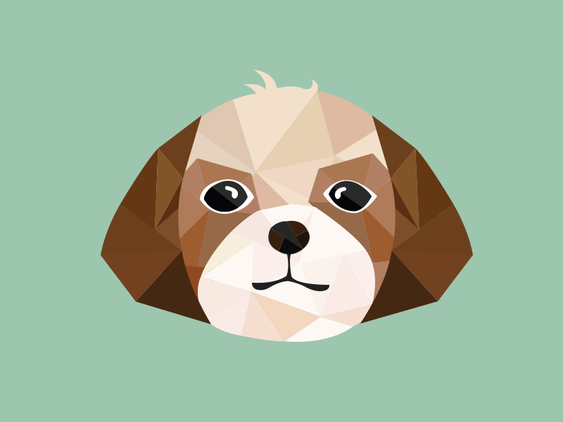 My dog Kobe dog gif happy illustration polygon puppy smile