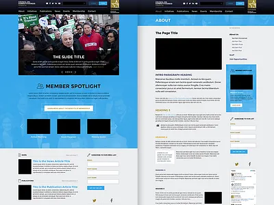 Compete Homepage & Interior cause charity council design joomla nonprofit page responsive site template web