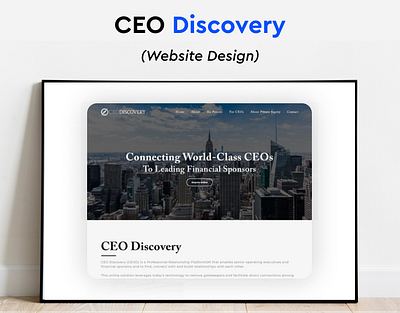 CEO Discovery Website Design app branding design graphic design illustration logo mobile design ui ux vector